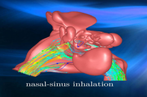 nasal-sinus inhalation